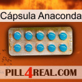 Cápsula Anaconda new09